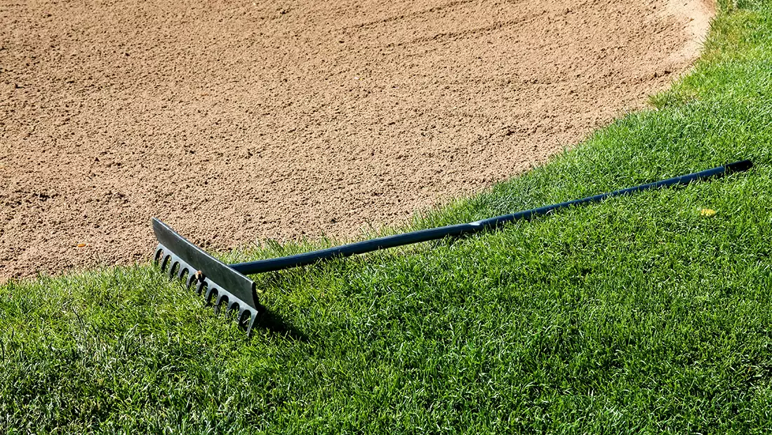 Dethatching image